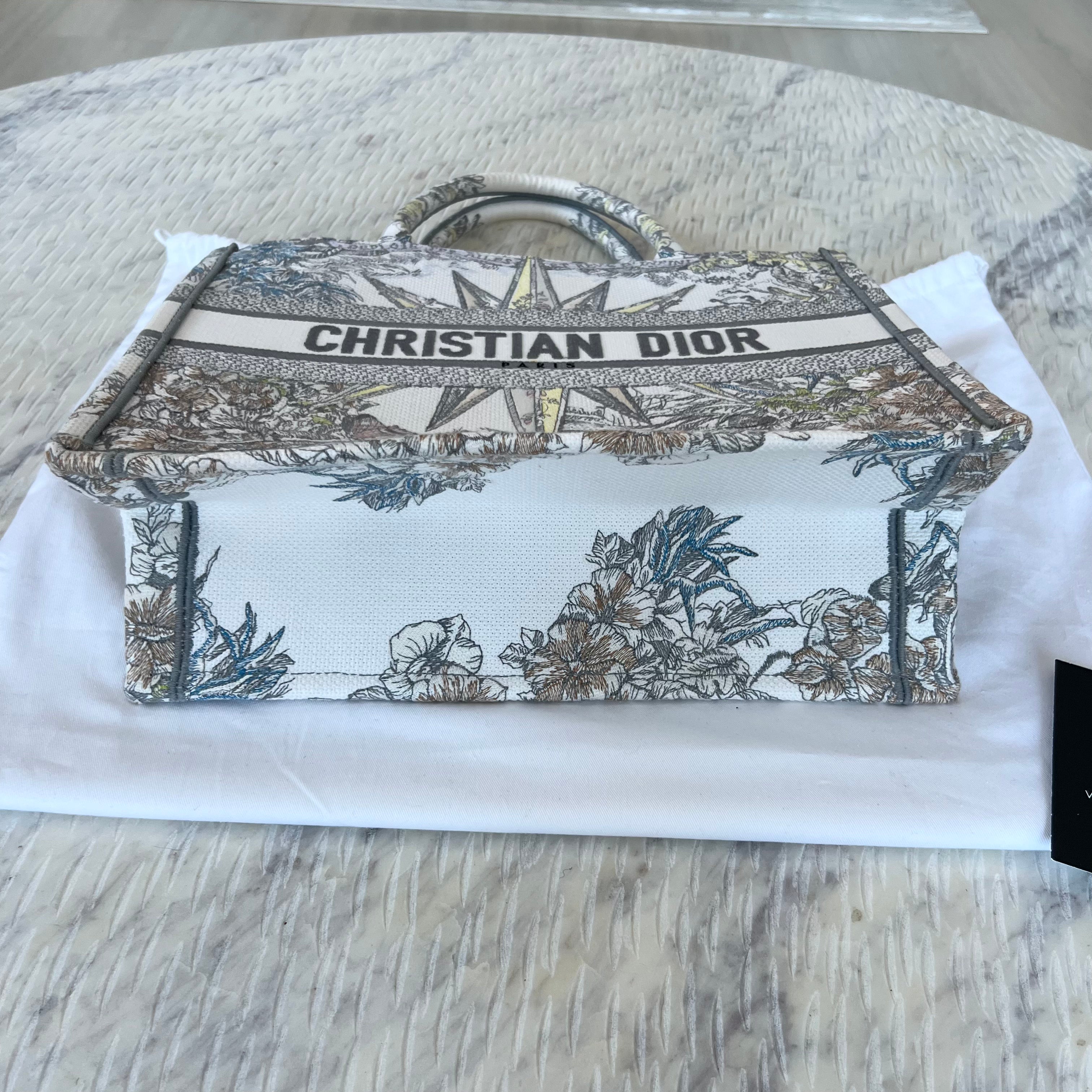 Christian Dior Book Tote Bag