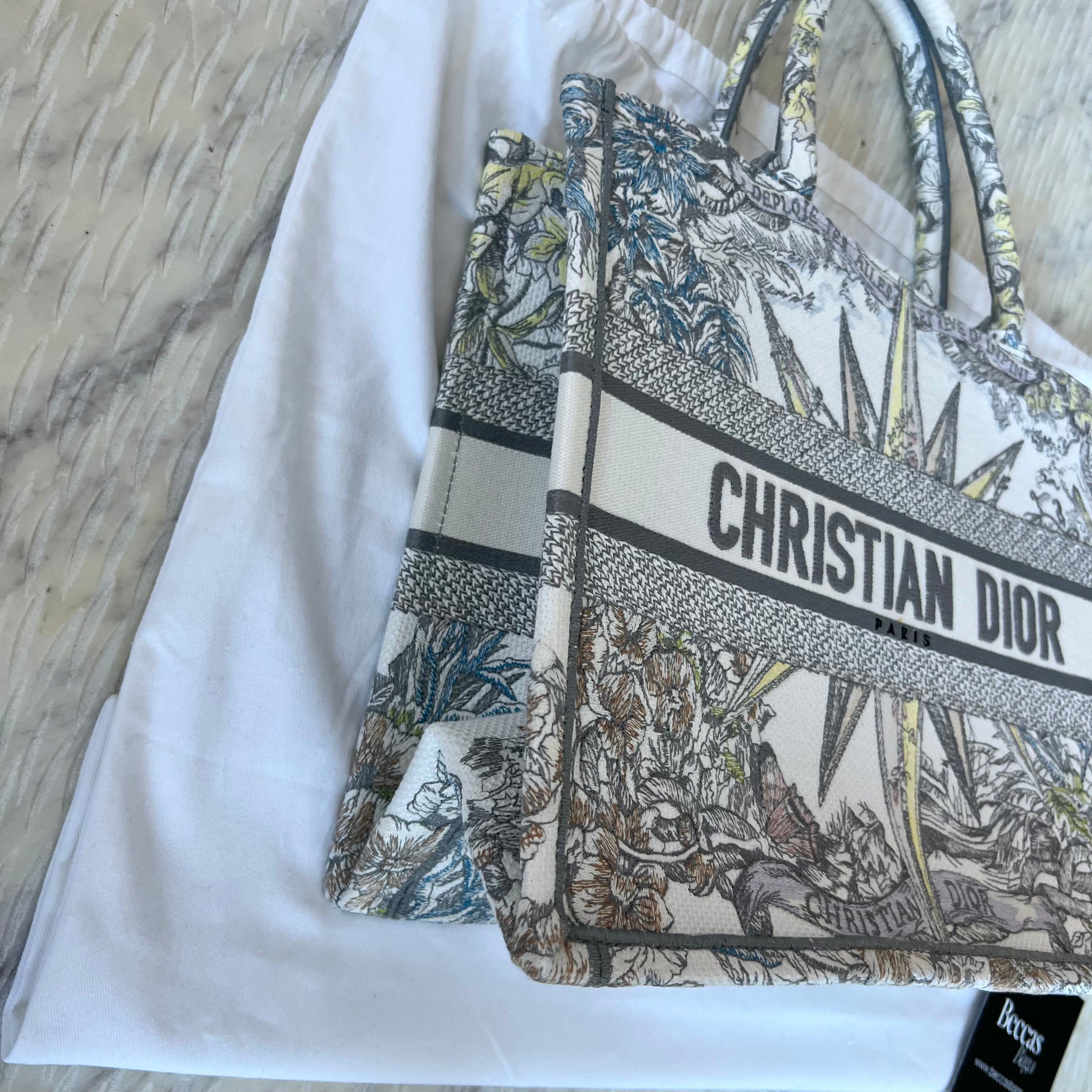 Christian Dior Book Tote Bag