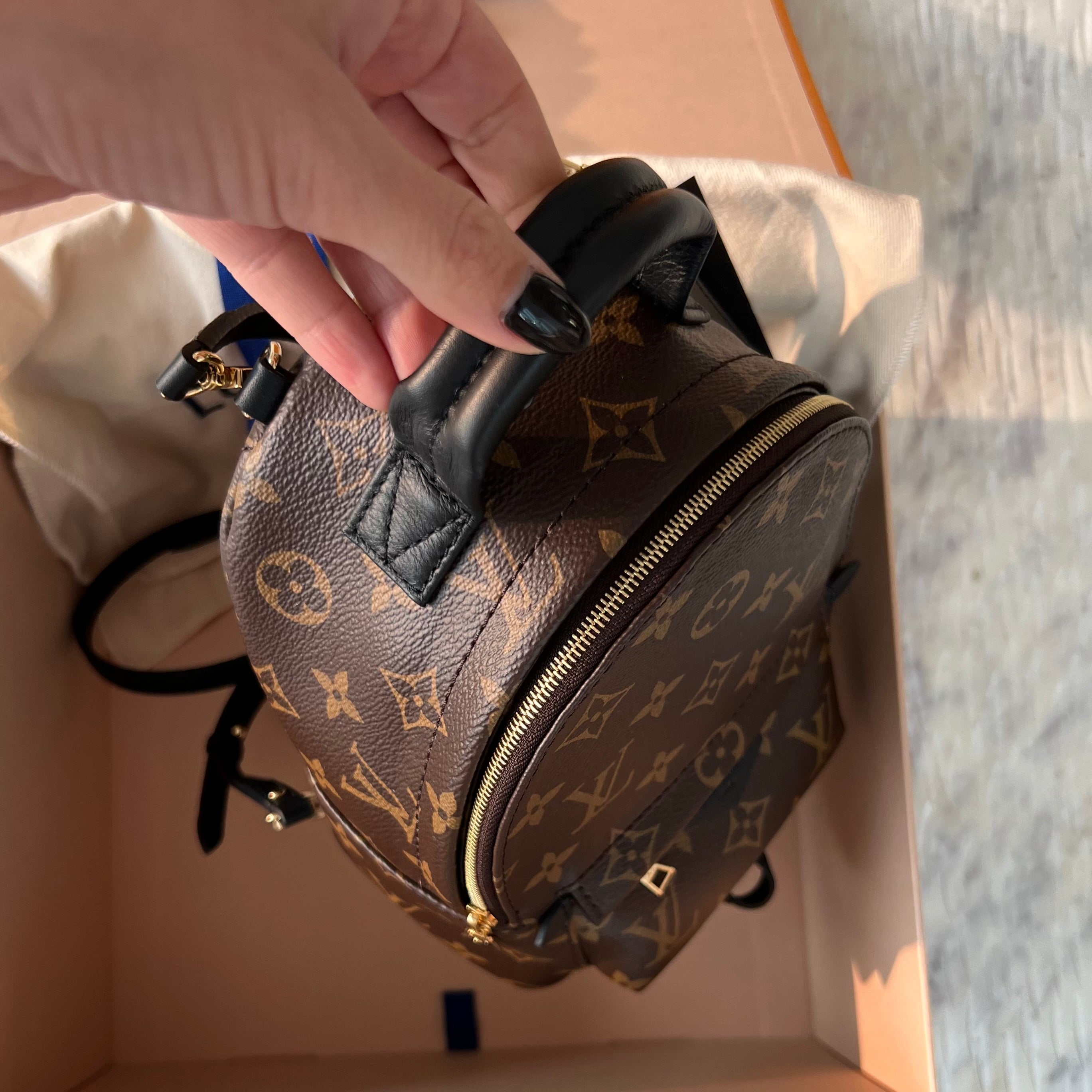 Louis Vuitton Palm Springs Mini Bag